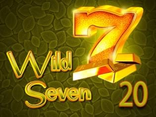 Wild Seven 20 screenshot